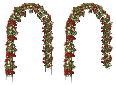 Produktbild von Brixy – 2er-Set Rosenbögen – Gartenbögen – Rankhilfe – Blumenbögen – Für Kletterpflanzen – Metall –