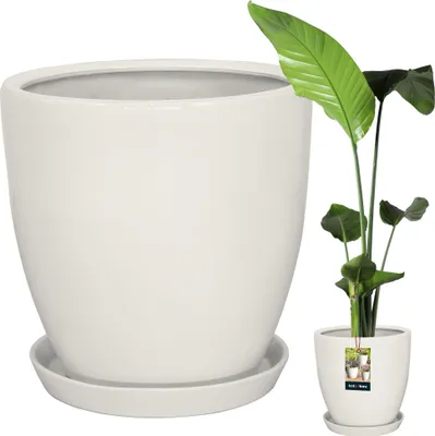 Immagine prodotto di KOTARBAU® Vaso da fiori con sottovaso Bianco ⌀ 31 cm Altezza: 30 cm Vetroceramica smaltata Vaso da fiori Vetroceramica grande Vaso da fiori Vaso per cactus con sottovaso Coprivaso con sottovaso Vasi da fiori Vetroceramica