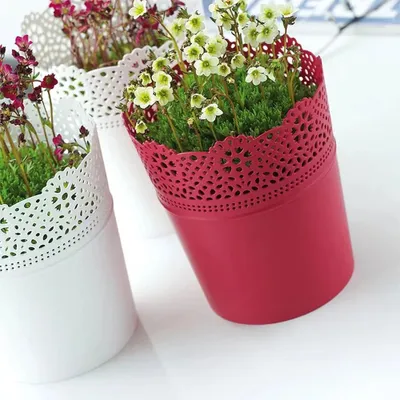 Three potted plants with decorative lace-like edges on the pots.
