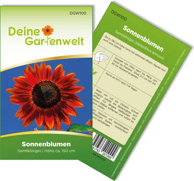 Produktbild von Sonnenblumen Samtkönigin Samen - Helianthus annuus - Sonnenblumensamen - Blumensamen - Saatgut für 20 Pflanzen