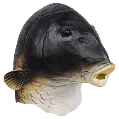 Produktbild von Tiermaske Fischkostüm Latex, Einheitsgröße, für Halloween und Cosplay