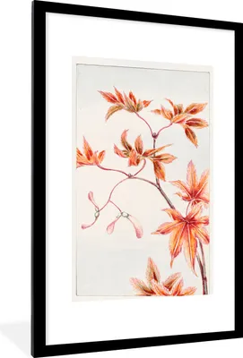 Produktbild von MuchoWow® Gerahmtes Poster Japanischer Ahorn - Blätter - Herbst 60x90 cm - Poster mit Schwarzem Bilderrahmen Wandposter Rahmen Foto Bilder - Dekoration - Wandposter Wohnzimmer - Hochwertig