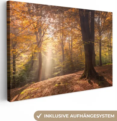 Produktbild von MuchoWow® - Leinwandbilder - Herbst - Licht - Wald, Wandbild, Wanddeko Bilder Wohnzimmer, 60x40 cm
