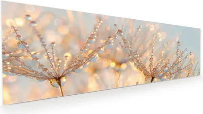 Produktbild von Glasbild 120x40cm in XXL für Wohnzimmer, Schlafzimmer Motiv Tautropfen Panorama