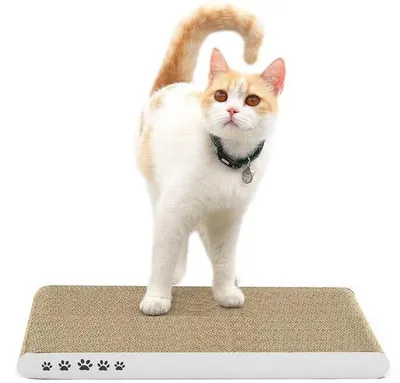 Produktbild von Krabplank für Katzen - Krabplank für Katzen mit hochwertiger Krabbelstruktur, umkehrbarer Krabbelmat für Kätzchen aus hochwertigem Kunststoff