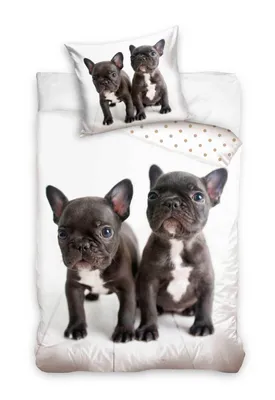 Produktbild von Bulldogge - Bully - Hunde Bettwäsche-Set Wendemotiv, 135x200 & 80x80