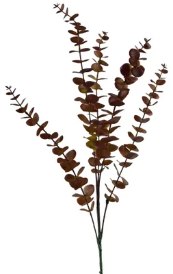 Produktbild von Kunstzweig Kunststoff Viridis Eukalyptus 80cm grün 1pc