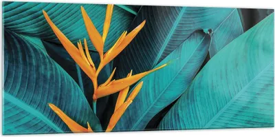 Produktbild von Bilder auf glas - Einteilig - Blumen Tropen Blätter - 120x50cm - Glasbilder - Wandbilder - Bilder - zum Aufhängen bereit - Wanddekoration aus Glas - Glas Bilder - Wandbild auf Glas - GAB120x50-5116