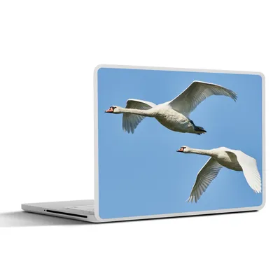 Produktbild von MuchoWow® Laptop Aufkleber Sticker Cover Schwan - Vogel - Himmel - Blau 31x22.5 cm - Laptop-Deko