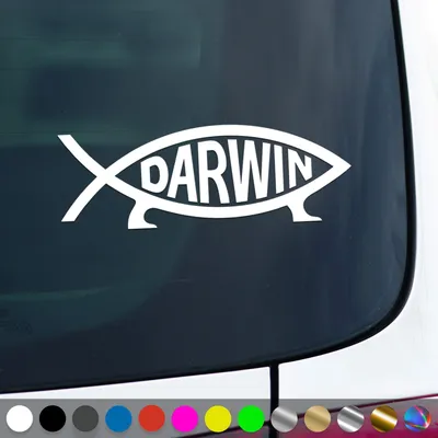 Produktbild von PantherPixel Darwin Fisch Aufkleber Evolution Ichthys Atheist Sticker Auto Geschenkidee Farbe Weiss