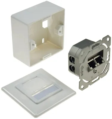 Immagine prodotto di Presa universale CAT.6 con telaio di montaggio (bianco, 2x presa RJ-45)
