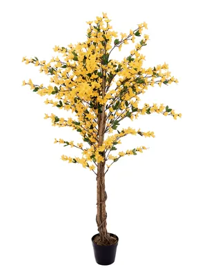 Produktbild von EUROPALMS Forsythienbaum mit 3 Stämmen, Kunstpflanze, gelb, 150cm (82507102)