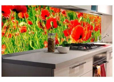 Produktbild von Küchenrückwand Folie selbstklebend ROTE MOHNBLUMEN 180 x 60 cm - Klebefolie - Dekofolie - Spritzschutz für Küche -