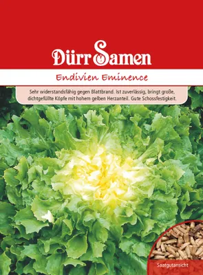 Produktbild von Endivie Eminence | Endiviensamen von Dürr Samen