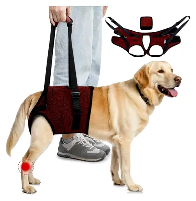 Produktbild von Hinterbeinstützgeschirr für mittelgroße Hunde - Verstellbares Hebegeschirr für ältere, verletzte, arthritische und behinderte Hunde zur Rehabilitation (Rot, M)