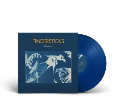 Produktbild von Tindersticks - Distractions (Limited Edition) (Blue Coloured) (LP)