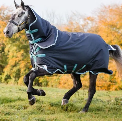Produktbild von Horseware Amigo Bravo 12 Plus Medium 250g Turnout Decke navy/aqua & turquoise, Größe:6'6