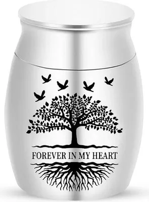 Immagine prodotto di Elegante mini urna per ceneri - 30 ml - 40x30 mm - Urna per animali e persone - Argento - Urna commemorativa