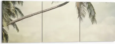 Produktbild von Bild auf Leinwand - Leinwandbild - 3 Teile - Palme Strand Insel - 150x50cm - Wand Bild - Wanddeko - Wandbilder - Leinwanddruck - Bilder - Wanddekoration - Leinwand bilder - Wandbild - CA150x50-4154