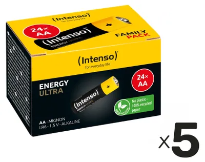 A box of Intenso AA batteries.