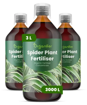 Produktbild von Grünlilien Flüssigdünger 3x1L – 2-1-8 NPK – Flüssig-Pflanzendünger für Grünlilien – Organifer