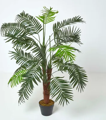 Produktbild von HOMESCAPES Kunstbaum Grün 'Mini Kunstpalme', 120 cm