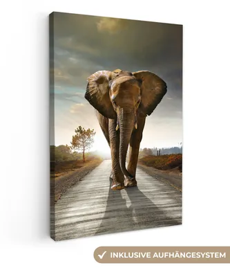 Produktbild von MuchoWow® - Leinwandbilder - Elefant - Straße - Tiere - Sonnenuntergang - Landschaft, Wandbild, Wanddeko Bilder Wohnzimmer, 60x90cm