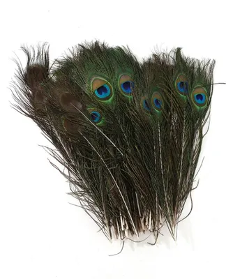 10 natürliche Pfauenfedern, 25-30 cm, Bastelfedern, Dekofedern