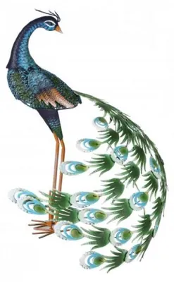 Image de Statue de Jardin Paon en Métal - 50,8 x 58,4 x H70,5 cm - Multicolore