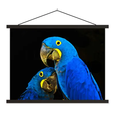 Produktbild von MuchoWow® Textilposter Papagei - Vogel - Federn - Blau 150x113 cm mit schwarzem Rahmen - Wohnzimmer