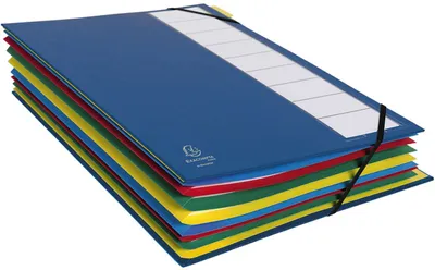 Image de Exacompta classeur de rangement 12 compartiments DIN A4 assorti couleur 3mm