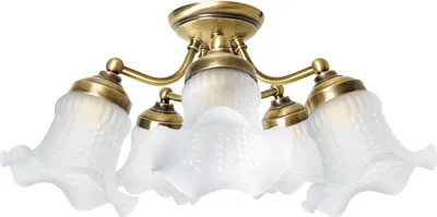 Produktbild von Deckenstrahler Glas Echt-Messing E14 verstellbar in Bronze hell glänzend Weiß Floral Spot Lampe Decke