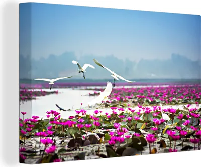 Produktbild von OneMillionCanvasses® - Leinwandbilder - 150x100 cm, Vögel - Thailand - Lotus, Wandbilder Kunstdruck Wanddekoration