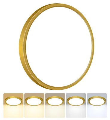LED Deckenlampe rund 30cm, 5 Farben, IP54, 18W, Gold