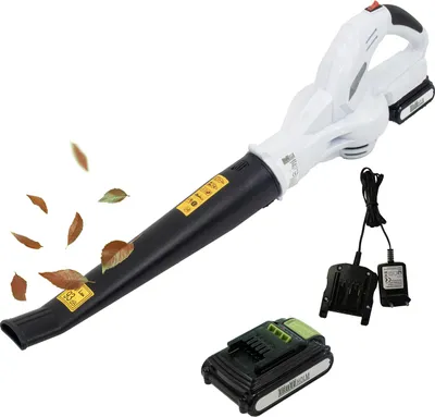 A cordless leaf blower with its battery and charger, set against a white background.