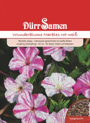 Produktbild von Wunderblume Marbles rot weiß | Wunderblumensamen von Dürr Samen