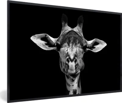 Produktbild von MuchoWow® Gerahmtes Poster Giraffe - Tiere - Porträt - Schwarz 60x40 cm - Poster mit Schwarzem Bilderrahmen Wandposter Rahmen Foto Bilder - Printing - Wanddeko Schlafzimmer