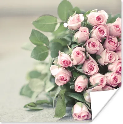 Produktbild von MuchoWow® Poster Rosen - Rosa - Stein 100x100 cm - Babyzimmer