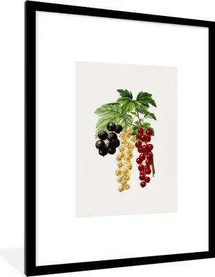 Produktbild von MuchoWow® Gerahmtes Poster Trauben - Blätter - Lebensmittel 60x80 cm - Poster mit Schwarzem Bilderrahmen Wandposter Rahmen Foto Bilder - Wohnzimmer - Dekorationen - Prämie