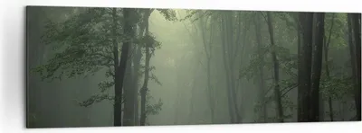 Produktbild von Bild auf Leinwand - Leinwandbild - Wald Nebel Baum - 160x50cm - Wand Bild - Wanddeko - Wandbilder - Leinwanddruck - Bilder - Kunstdruck - Wanddekoration - Leinwand bilder - Wandkunst - AB160x50-3543