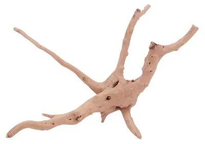 Produktbild von M Moorkienwurzel Nr.4402 Holz Deko Aquascaping