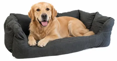 Produktbild von Hundebett aus Massivholz 90x57x45 cm – Braun, Natur oder Geflammt – Optional mit Kissen – Selbstmontage Kissen grau