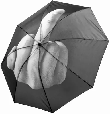 Produktbild von Regenschirm Mittelfinger