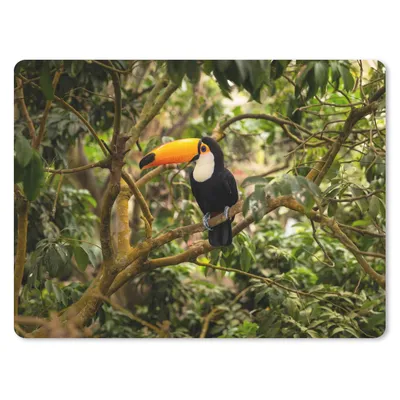Produktbild von MuchoWow® Mauspad Mousepad Vogel - Tukan - Dschungel - Natur - Tropisch 23x19 cm - Mousepads - Maus Mat - Pad - Mausunterlage - Schreibtischunterlage - Mauspad