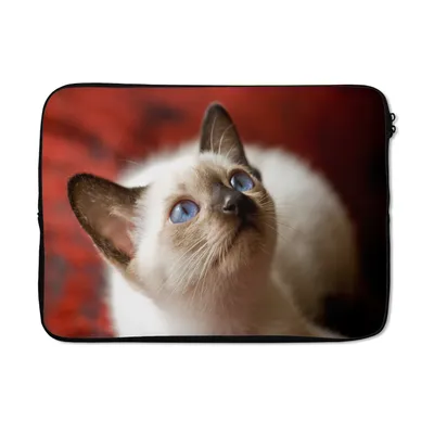 Produktbild von MuchoWow® Laptop Hülle 14 ZollJunge Siamkatze schaut auf Laptoptasche - Laptoptasche - Stoßsicher - Schutzhaube