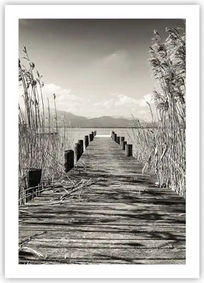 Produktbild von Poster - Poster ohne Rahmen - Brücke Pier Sepia - 50x70 cm - Wand Bild - Wanddeko - Wandbilder - Kunstposter - Wandposter - Bilder - Kunstdruck - Wanddekoration - Wandbild - P2XPA50x70-4928