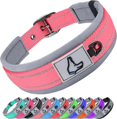 Produktbild von Ibenzoa® Reflektierendes Hundehalsband mit Neopren‑Futter – doppelte Nylonkonstruktion, Metall‑Schnalle & D‑Ring, Größen S 28–37 M 37–48 L 48–58 XL 58–68