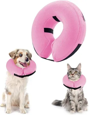 Produktbild von Verstelbare halsband voor kleine honden en katten, rood, extra klein, anti-beet en anti-lek