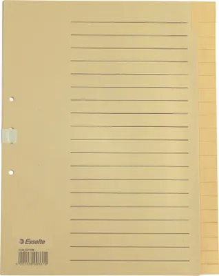 Produktbild von Esselte Tauenpapier-Register blanko A4 20-teilig chamois