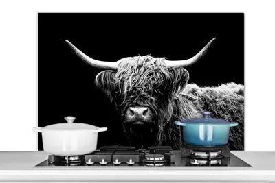 Obrázek produktu pro KitchenYeah® Kitchen splashback - Kuchyňský splashback - Ochrana stěny sporáku a dřezu - Skotský náhorní skot - Kráva - Černá - Bílá - Zvířata 100x65 - Hliníkový dibond (alternativa ke skleněnému splashbacku)